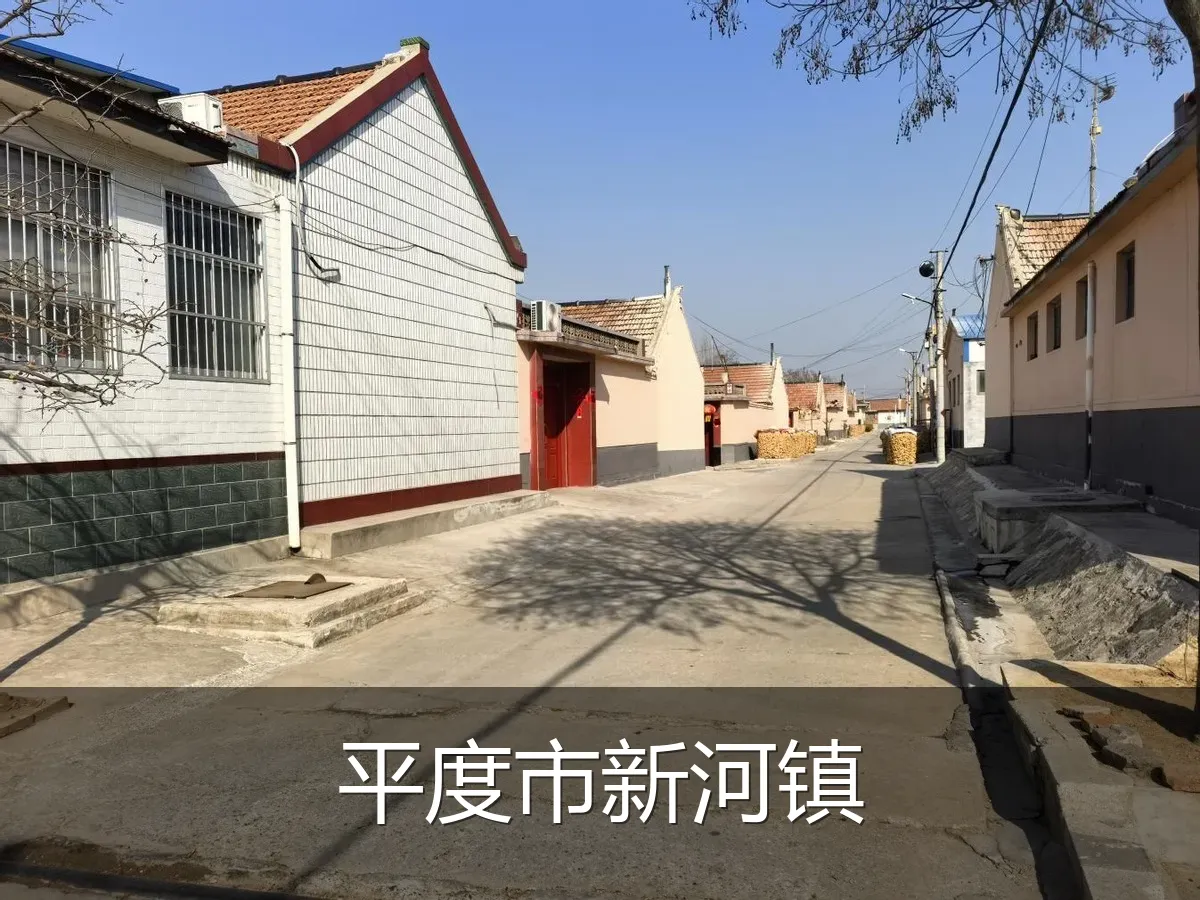 平度市新河镇